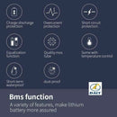Li-ion BMS PCB 13S 48V 100A Daly Balance Waterproof Battery Management System UK