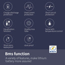 Li-ion BMS PCB 20S 72V 30A Daly Balance Waterproof Battery Management System UK